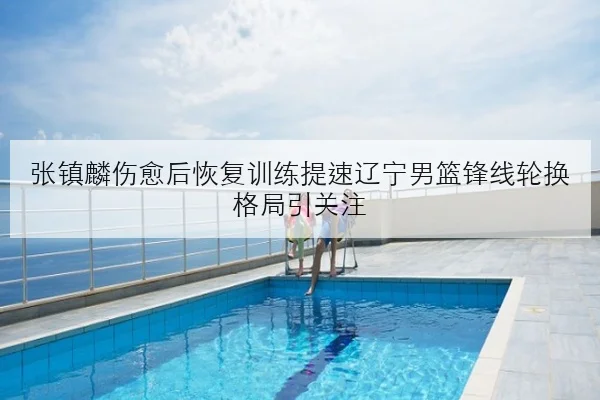 张镇麟伤愈后恢复训练提速辽宁男篮锋线轮换格局引关注